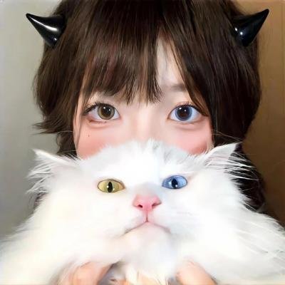 小谢尔顿第一季